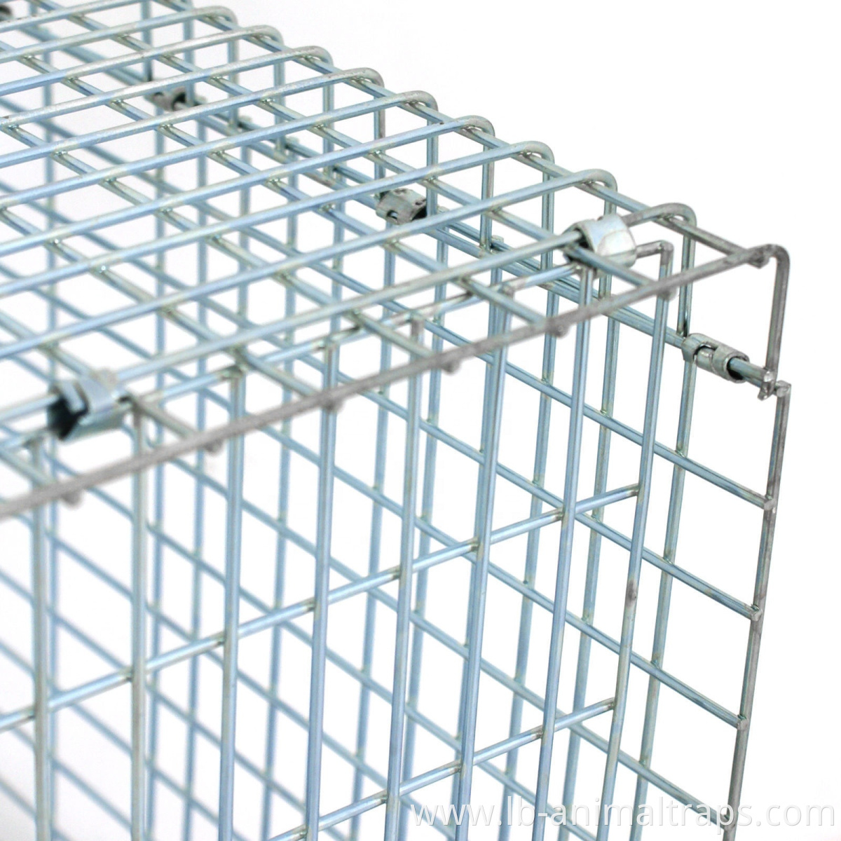 Folded Humane Live Animal Cage Trap for Rats,Cats,Rabbits,Raccoons,Martens,Foxes,Pig,Wild Boars,Birds,Pigeons Manufacturer